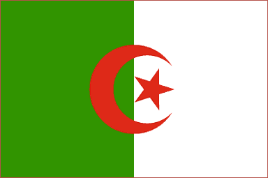 Algeria National Flag Printed Flags - United Flags And Flagstaffs