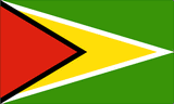 Guyana National Flag Printed Flags - United Flags And Flagstaffs