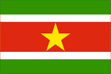 Suriname National Flag Printed Flags - United Flags And Flagstaffs